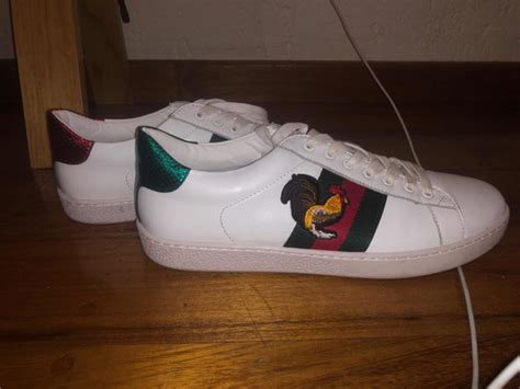 tenis gucci hombre gallo